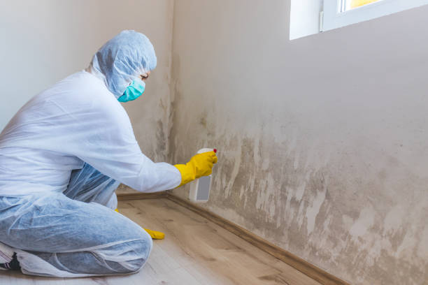 Hvac And Air Duct Mold Remediation inspection of HVAC system in Castleton