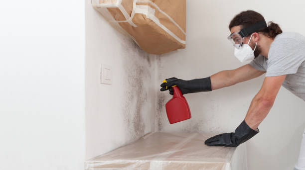Attic Mold Remediation treatment on roof deck in Castleton